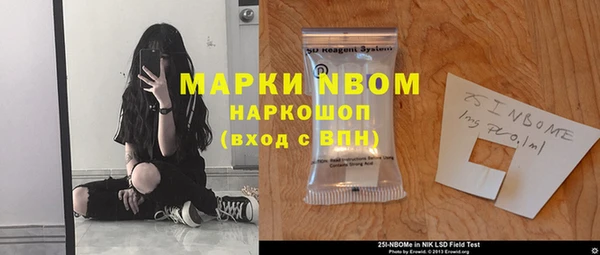 ПСИЛОЦИБИНОВЫЕ ГРИБЫ Верея