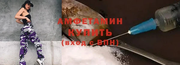 ПСИЛОЦИБИНОВЫЕ ГРИБЫ Верея