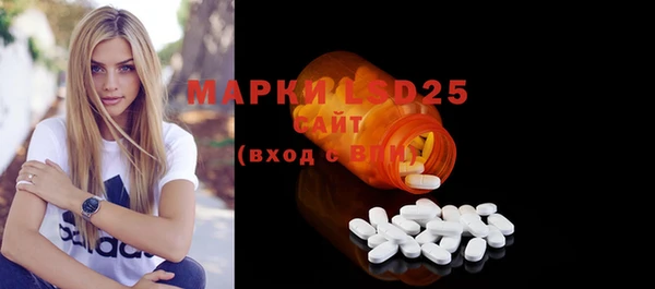 ПСИЛОЦИБИНОВЫЕ ГРИБЫ Верея