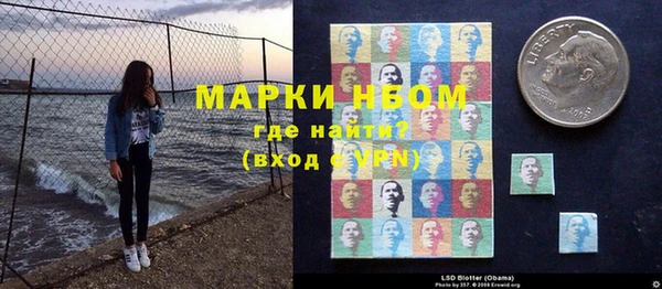 ПСИЛОЦИБИНОВЫЕ ГРИБЫ Верея