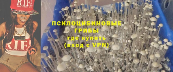 ПСИЛОЦИБИНОВЫЕ ГРИБЫ Верея