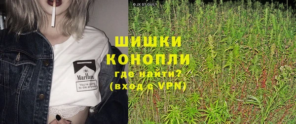 ПСИЛОЦИБИНОВЫЕ ГРИБЫ Верея
