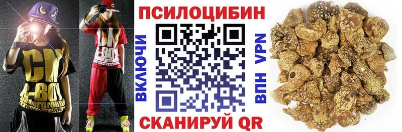 Купить закладки  Лодейное Поле  Галлюциногенные грибы ЛСД 